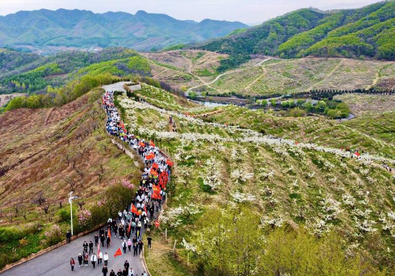 中国·凤城大梨树第六届徒步节暨葡萄文化节精彩纷呈